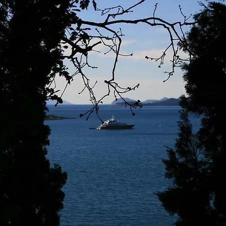 Miso Cavtat
