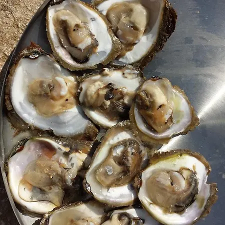 Miso * Cavtat
