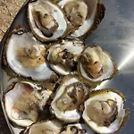 Miso * Cavtat