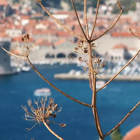 Miso Apartment Cavtat